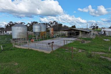 Dairy For Sale - VIC - Bamawm - 3561 - DROUGHT RESILIENT DAIRY  (Image 2)