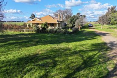 Cropping For Sale - VIC - Kotta - 3565 - DOUBLE BRICK HOME ON 5 ACRES  (Image 2)