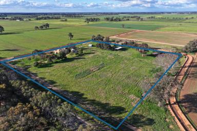 Cropping For Sale - VIC - Kotta - 3565 - DOUBLE BRICK HOME ON 5 ACRES  (Image 2)