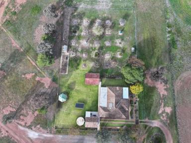 Mixed Farming For Sale - NSW - Tallimba - 2669 - Outstanding Tallimba Mixed Farm  (Image 2)
