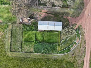 Mixed Farming For Sale - NSW - Tallimba - 2669 - Outstanding Tallimba Mixed Farm  (Image 2)