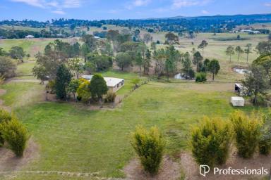 House For Sale - QLD - Lagoon Pocket - 4570 - LIVE THE LIFE IN LAGOON POCKET!  (Image 2)