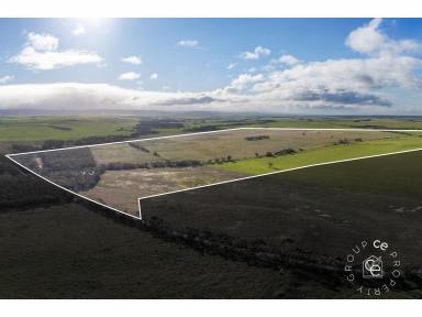 Cropping For Sale - SA - Angas Valley - 5238 - An abundance of space to do your thing  (Image 2)