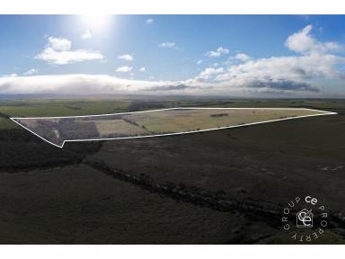 Cropping For Sale - SA - Angas Valley - 5238 - An abundance of space to do your thing  (Image 2)