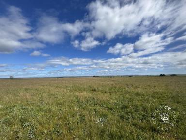 Cropping For Sale - SA - Angas Valley - 5238 - An abundance of space to do your thing  (Image 2)