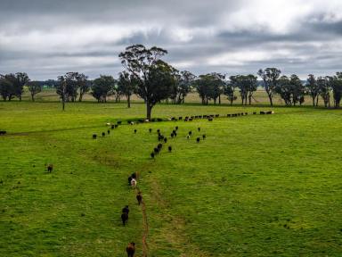 Other (Rural) Auction - NSW - Tubbul - 2594 - 'West Ardnaree' - Approx. 1,207 Acre Productive Grazing Country (Image 2)