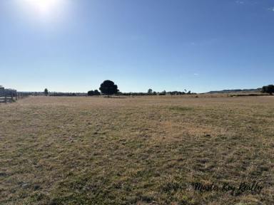 Lifestyle For Sale - QLD - Proston - 4613 - Build Where the Views Begin  (Image 2)