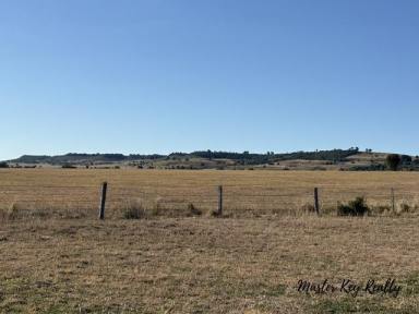 Lifestyle For Sale - QLD - Proston - 4613 - Build Where the Views Begin  (Image 2)