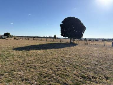 Lifestyle For Sale - QLD - Proston - 4613 - Build Where the Views Begin  (Image 2)