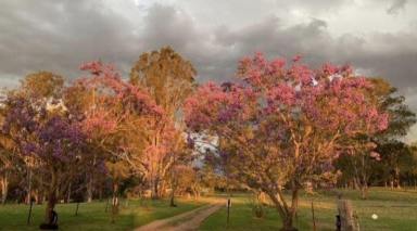 Acreage/Semi-rural For Sale - NSW - Coutts Crossing - 2460 - Truly exceptional & unique property with dual living option. This house ticks all the boxes!  (Image 2)