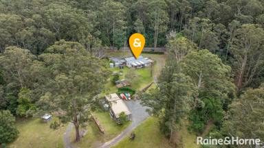 Acreage/Semi-rural For Sale - NSW - Tapitallee - 2540 - Your Adventure Wonderland  (Image 2)