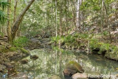 Acreage/Semi-rural For Sale - NSW - Tapitallee - 2540 - Your Adventure Wonderland  (Image 2)