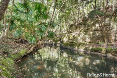 Acreage/Semi-rural For Sale - NSW - Tapitallee - 2540 - Your Adventure Wonderland  (Image 2)
