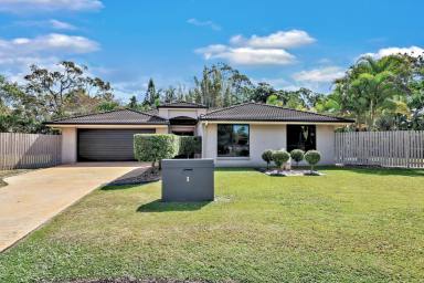 House For Sale - QLD - Avoca - 4670 - Parkland Setting in a Quiet Avoca Cul-de-Sac  (Image 2)