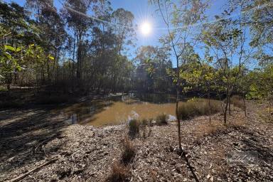 Residential Block For Sale - QLD - Paterson - 4570 - 40 ACRES TO MAKE YOUR OWN  (Image 2)