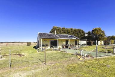 Lifestyle For Sale - NSW - Windellama - 2580 - Quaint Country Homestead on 35 Pristine Acres With A Beautiful Running Creek  (Image 2)