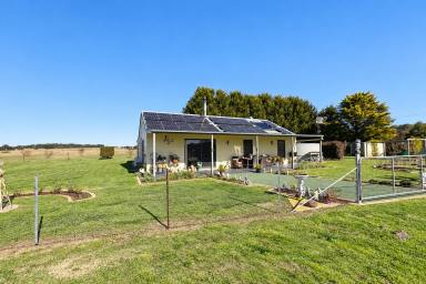 Lifestyle For Sale - NSW - Windellama - 2580 - 35 Acres,  3 BR Home, Beautiful Land, Amazing Views, Running Creek, Workshop.  (Image 2)