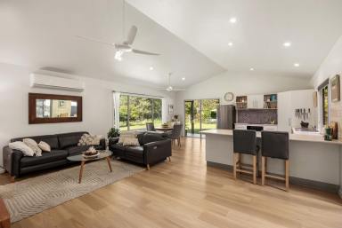 House For Sale - QLD - Pomona - 4568 - A Private Hobby Farm at the End of the Lane  (Image 2)