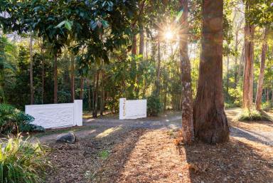 House For Sale - QLD - Lake Macdonald - 4563 - The Ultimate Hinterland Escape  (Image 2)