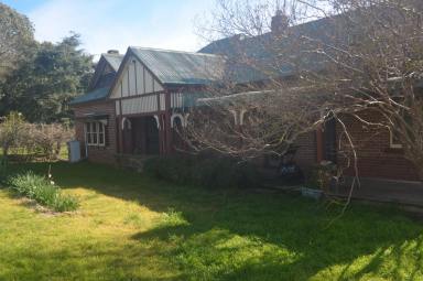 Mixed Farming Tender - NSW - Coolac - 2727 - Blue Ribbon Grazing Country  (Image 2)