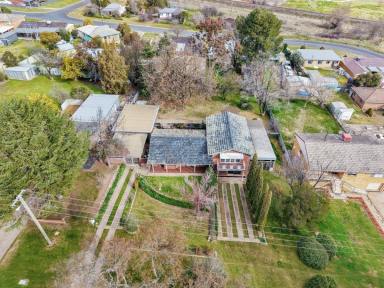 House For Sale - NSW - Young - 2594 - "From Under The Big Top"  (Image 2)