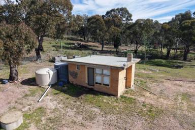 Lifestyle For Sale - NSW - Bumbaldry - 2794 - WEEKEND ESCAPE WITH BUILDING ENTITLEMENT  (Image 2)