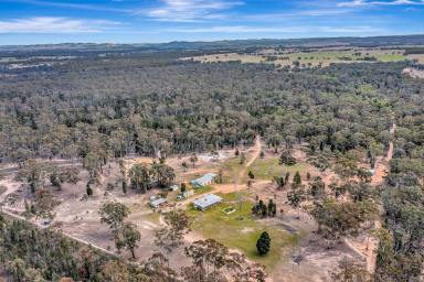 Lifestyle For Sale - NSW - Gulgong - 2852 - PRACTICAL COUNTRY LIVING  (Image 2)