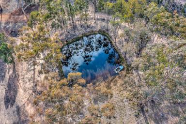 Lifestyle For Sale - NSW - Gulgong - 2852 - PRACTICAL COUNTRY LIVING  (Image 2)