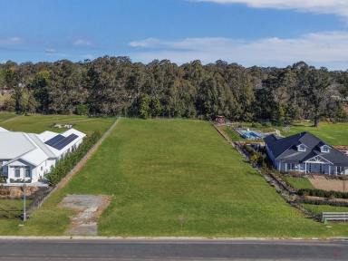 Residential Block For Sale - NSW - Bundanoon - 2578 - A Commanding One-Acre Block, Set Within a Grand Estate.  (Image 2)