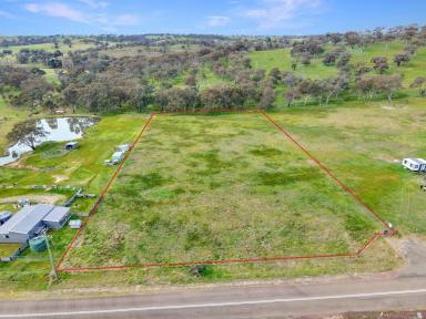 Residential Block For Sale - NSW - Young - 2594 - Great Value Lifestyle Block  (Image 2)
