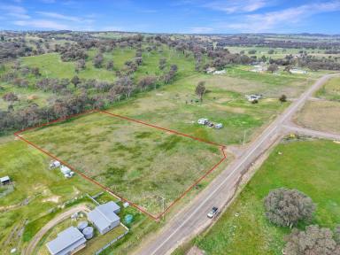 Residential Block For Sale - NSW - Young - 2594 - Great Value Lifestyle Block  (Image 2)