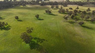 Cropping For Sale - SA - Bangham - 5268 - 2123 Bangham Road  (Image 2)