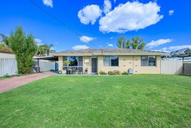 House For Sale - WA - Herne Hill - 6056 - Sought after - tightly held location  (Image 2)