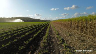 Horticulture For Sale - QLD - McIlwraith - 4671 - Productive Irrigated Cane Farm | 95.62 ha | 200 ML Water Allocation  (Image 2)