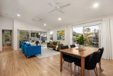 House For Sale - QLD - Cooroy - 4563 - Effortless Resort-Style Living  (Image 2)