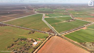 Other (Rural) For Sale - NSW - Myall Park - 2681 - " THORNWYRAN" - BROAD ACRE & IRRIGATION PROPERTY  (Image 2)