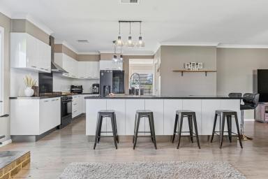 Lifestyle For Sale - NSW - Gulgong - 2852 - SPACE, PRIVACY AND A TRUE COUNTRY LIFESTYLE  (Image 2)