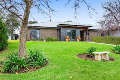 Mixed Farming For Sale - NSW - Wagga Wagga - 2650 - Premier Rural Lifestyle with Impressive Family Home  (Image 2)