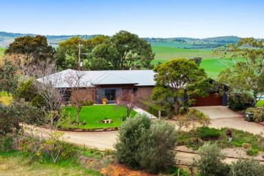 Mixed Farming For Sale - NSW - Wagga Wagga - 2650 - Premier Rural Lifestyle with Impressive Family Home  (Image 2)