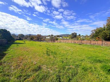 Residential Block For Sale - NSW - Quirindi - 2343 - LARGE ELEVATED RESIDENTIAL LAND  (Image 2)