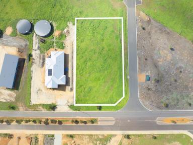Residential Block For Sale - WA - Witchcliffe - 6286 - SPACE, POSITION & ENDLESS POSSIBILITIES  (Image 2)
