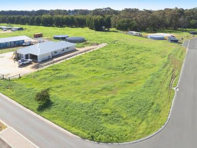 Residential Block For Sale - WA - Witchcliffe - 6286 - SPACE, POSITION & ENDLESS POSSIBILITIES  (Image 2)