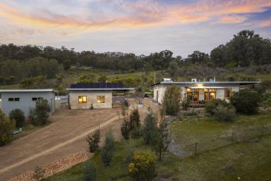 Lifestyle For Sale - VIC - Upotipotpon - 3669 - A Rare 142-Acre Conservation Sanctuary - Off-Grid Strawbale Home Among the Grass Trees (Image 2)
