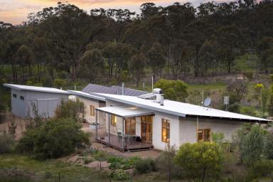 Lifestyle For Sale - VIC - Upotipotpon - 3669 - A Rare 142-Acre Conservation Sanctuary - Off-Grid Strawbale Home Among the Grass Trees  (Image 2)