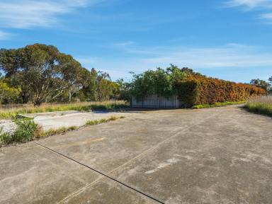 Residential Block Auction - TAS - Campania - 7026 - One Hectare of Beautiful Country Living  (Image 2)