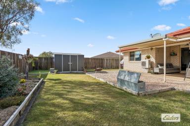House For Sale - QLD - Laidley North - 4341 - The Backyard Dream  (Image 2)