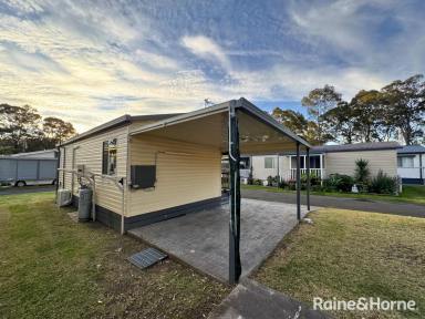 House For Sale - NSW - South Nowra - 2541 - Perfect Downsize Opportunity  (Image 2)