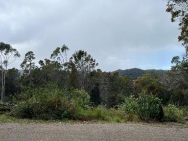 Residential Block For Sale - QLD - Russell Island - 4184 - Vacant Land - Build your Dream Home With Water Views  (Image 2)