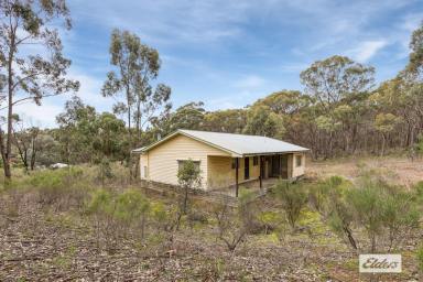 House For Sale - VIC - Castlemaine - 3450 - Home on 1 Acre, in a Prestigious Pocket  (Image 2)