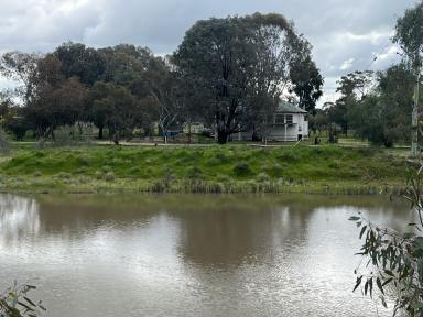 Lifestyle Auction - VIC - Kaarimba - 3635 - A Rare Acreage Lifestyle Close to Town  (Image 2)
